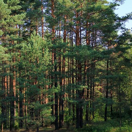Apartamentai Laima Druskininkai Esterno foto